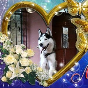 Meet your Posher, Vicente